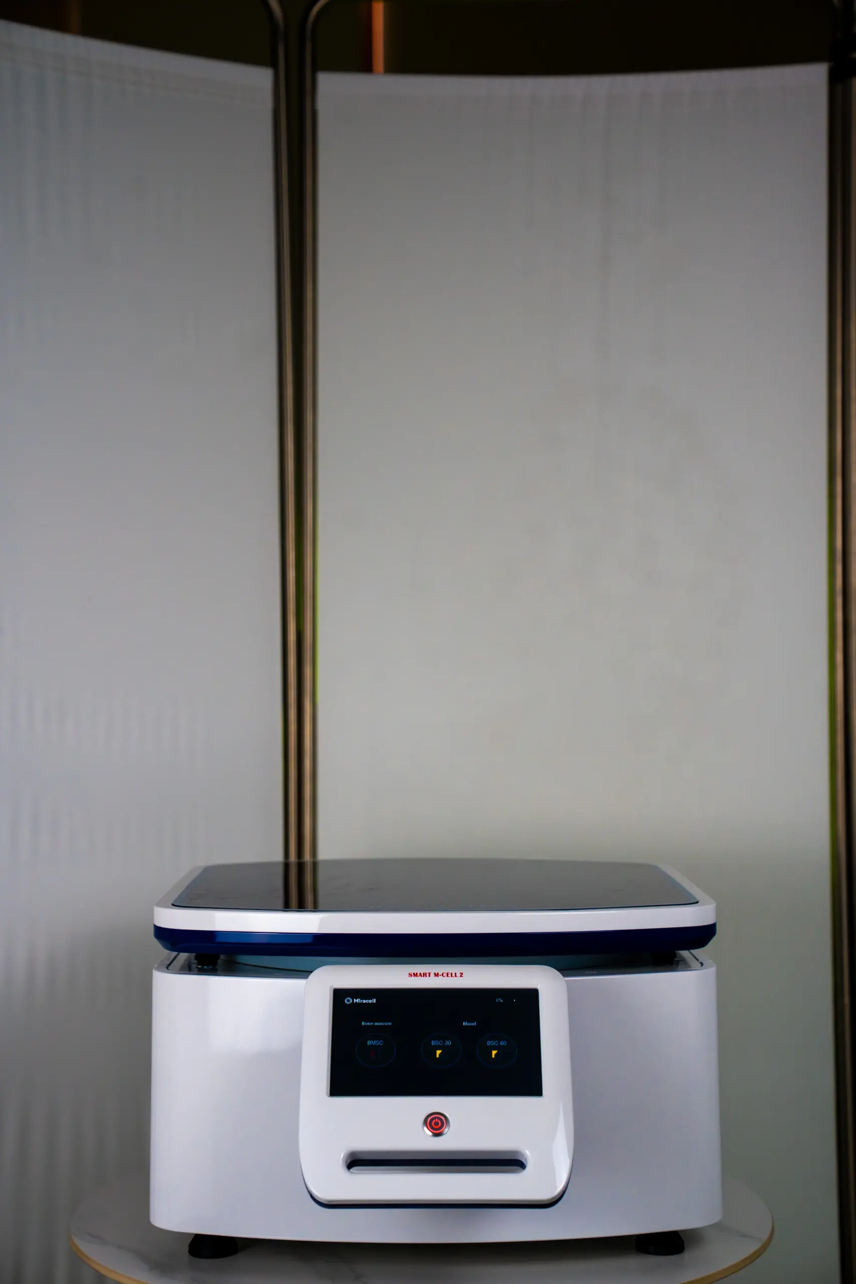 Stem cell hair restoration